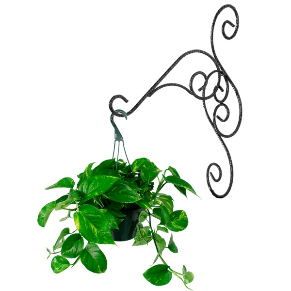 Подставка Настенная РЗДИ Крюк малый 1 горшок графит