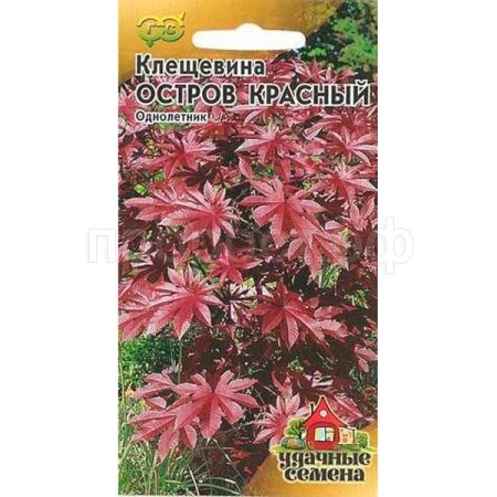 Гавриш Уд семена Клещевина Остров Красный 5 шт 