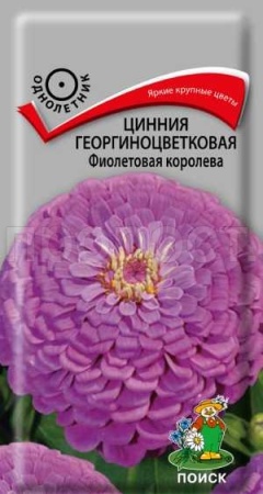 Цинния георгиноцветковая Фиолетовая королева 0,4г
