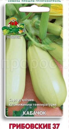 Кабачок Грибовские 37 12шт 