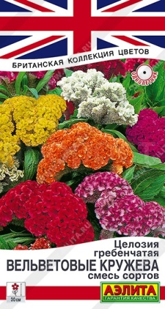 Аэлита Целозия гребенчатая Вельветовые кружева, смесь сортов 0,2г 