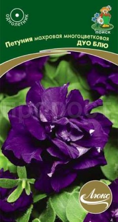 Поиск Петуния махровая многоцветковая Дуо Блю 10шт