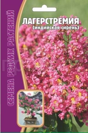 Лагерстремия (индийская сирень) 10 шт