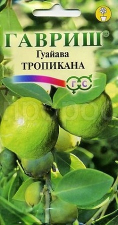 Гавриш Гуайава Тропикана (псидиум) 0,2 г