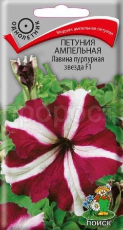 Поиск Петуния ампельная Лавина пурпурная звезда F1 10шт