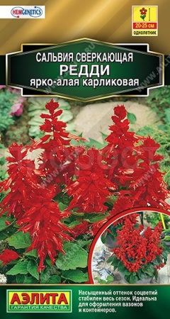 Сальвия Редди ярко-алая карликовая 7шт