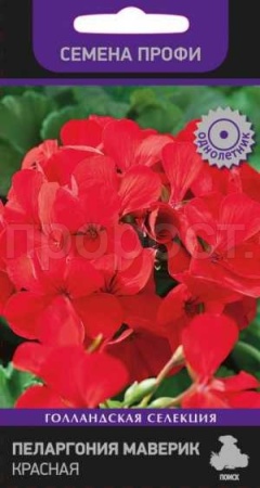 Поиск Комн. Пеларгония Маверик красная 5шт