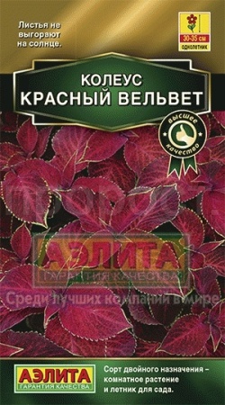 Аэлита Комн. Колеус Блюме Красный вельвет 5шт