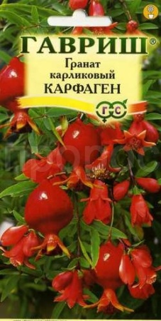 Гавриш  Комн. Гранат Карфаген карл. 5шт