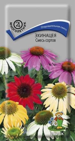 Поиск Эхинацея Смесь сортов 0,1г 