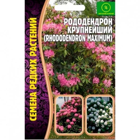 Редкие растения Рододендрон крупнейший 0,01г