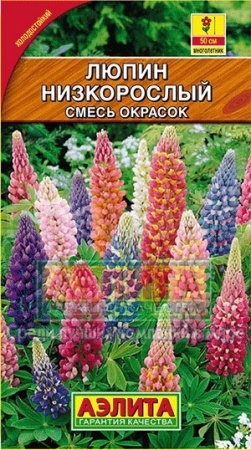 Аэлита Люпин Низкорослый, смесь 15шт