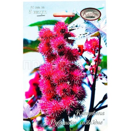 Каприс Клещевина Рубиновое созвездие 20*5шт