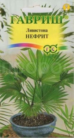 Гавриш Комн. Ливистона китайская Нефрит 3шт