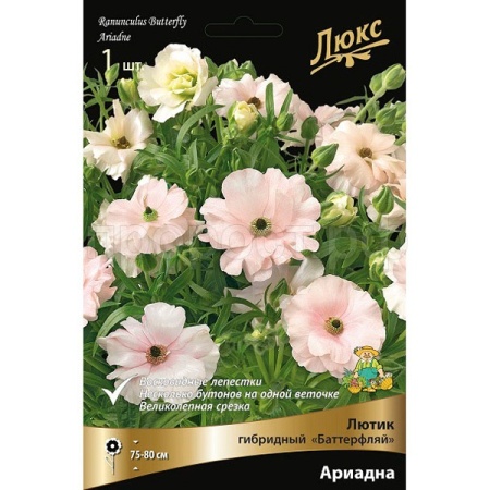 Лютик гибридный Батерфляй Ариадна /К 839673