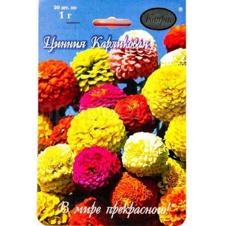 Каприс Цинния Малышка Карлик смесь 20*1
