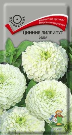 Поиск Цинния лилипут Белая 0,4г