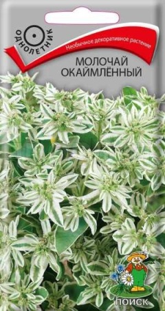 Поиск Молочай окаймленный 0,2гр