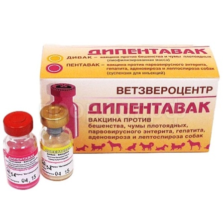 Вакцина Дипентавак 2фл=1доза