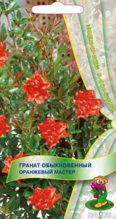 Поиск Гранат обыкновенный Оранжевый мастер 5шт
