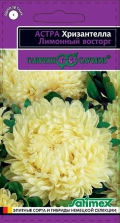 Гавриш Астра Хризантелла Лимонный восторг 0,05 г