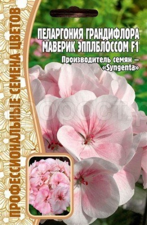 Редкие растения Пеларгония грандифлора Маверик Эпплблоссом F1 3шт