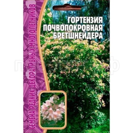 Гортензия почвопокровная Бретшнейдера 20 шт