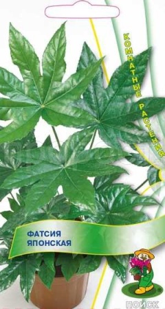 Поиск Фатсия японская Аралия 3шт