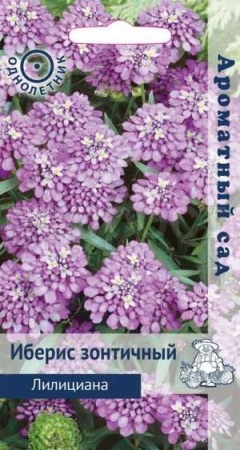 Поиск Иберис зонтичный Лилициана 0,3г