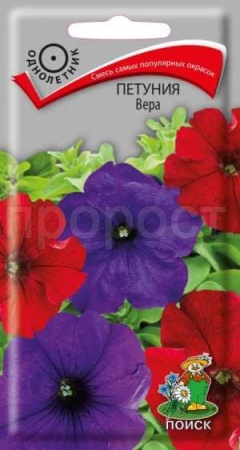 Поиск Петуния Вера 0,1гр