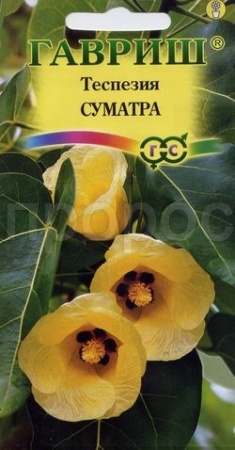 Гавриш Теспезия Суматра 3 шт