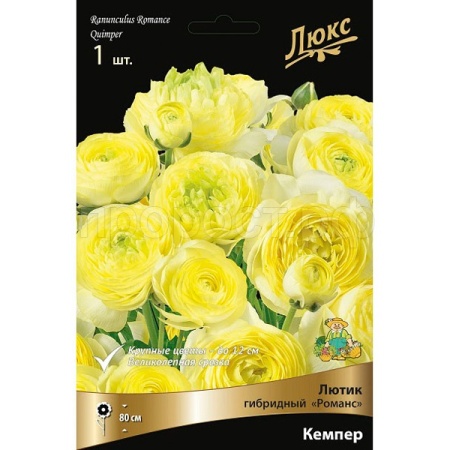 Лютик гибридный Романс Кемпер /К 839690