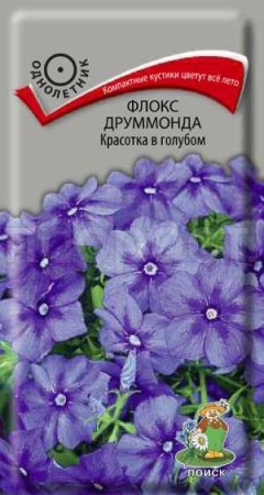 Поиск Флокс друммонда Красотка в голубом 0,1гр
