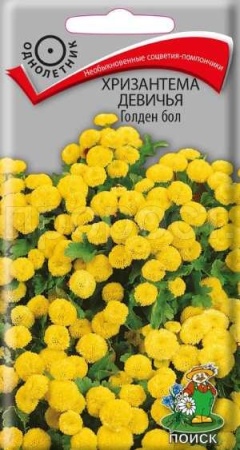 Поиск Хризантема девичья Голден бол 0,05г