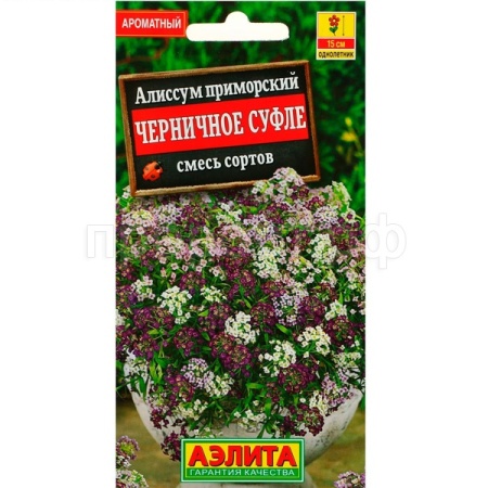 Аэлита Алиссум Черничное суфле, смесь окрасок 0,05г