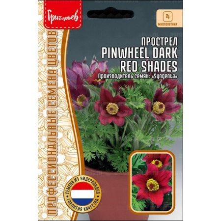 Редкие растения Прострел Pinwheel Dark Red Shades 3шт 