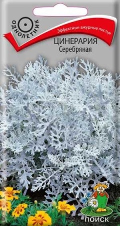 Поиск Цинерария Серебряная 0,2г