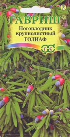 Гавриш Ногоплодник круглолистный Голиаф 3шт