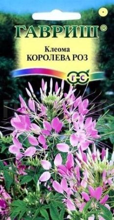 Гавриш Клеома Королева роз 0,2 г