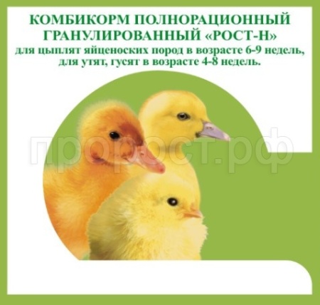 Комбикорм Рост-Н для цыплят яйценоских пород от 6-9 недель, гусятам и утятам от 4-8 недель 25кг