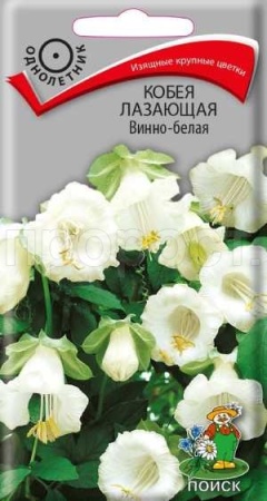 Поиск Кобея лазающая Винно-белая 5шт