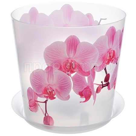 Кашпо для орхидей Деко 2,4л прозрачный М3106