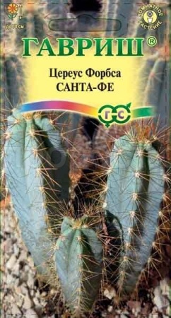Гавриш Цереус Форбса Санта-Фе 4шт