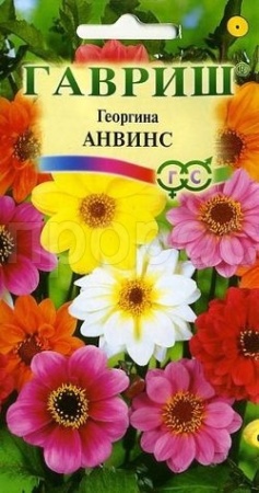 Георгина Анвинс смесь 0,3г