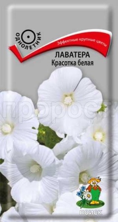 Поиск Лаватера Красотка белая 0,3г