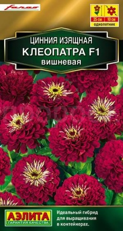 Аэлита Цинния Клеопатра F1 вишневая 12шт