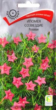 Поиск Ипомея Созвездие Розовая 0,3гр 