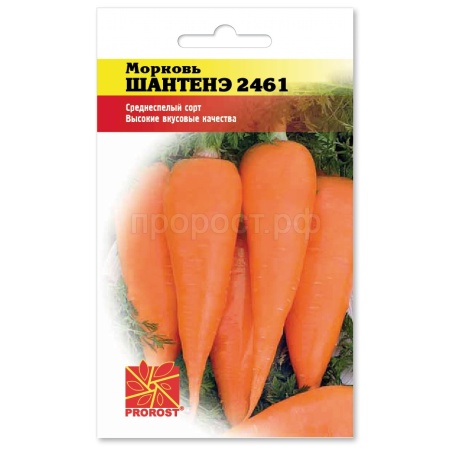 Морковь Шантенэ 2461 2г Морковь Шантенэ 2461 2г