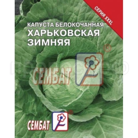 Капуста белокочанная Харьковская зимняя 10г XXXL
