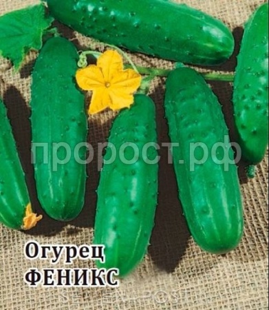 Огурец Феникс 25 г
